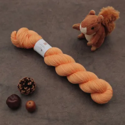 Tourbillon Cyprès Fing (éphémère) - Sorbet à l'orange - 50g